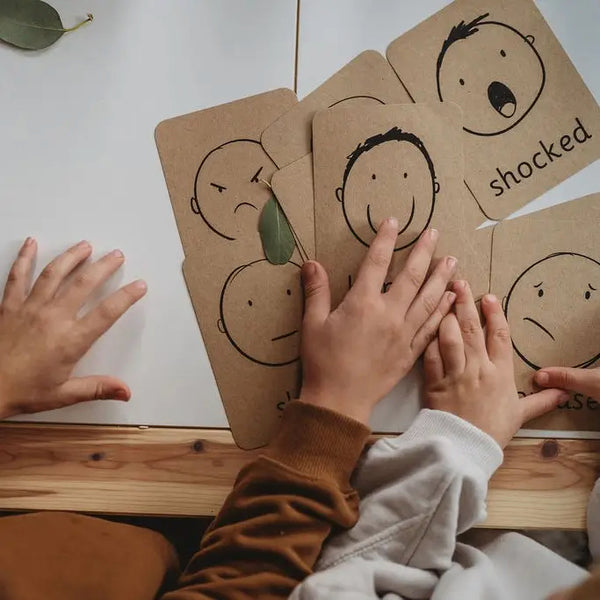 Emotion Flashcards (Montessori learning resources)