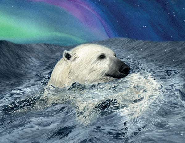 Hunter's Icy Adventure Book (signed copy)