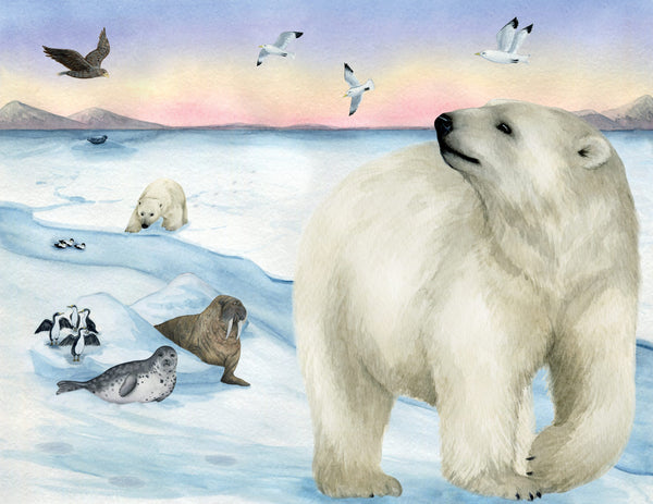 Hunter's Icy Adventure Book (signed copy)